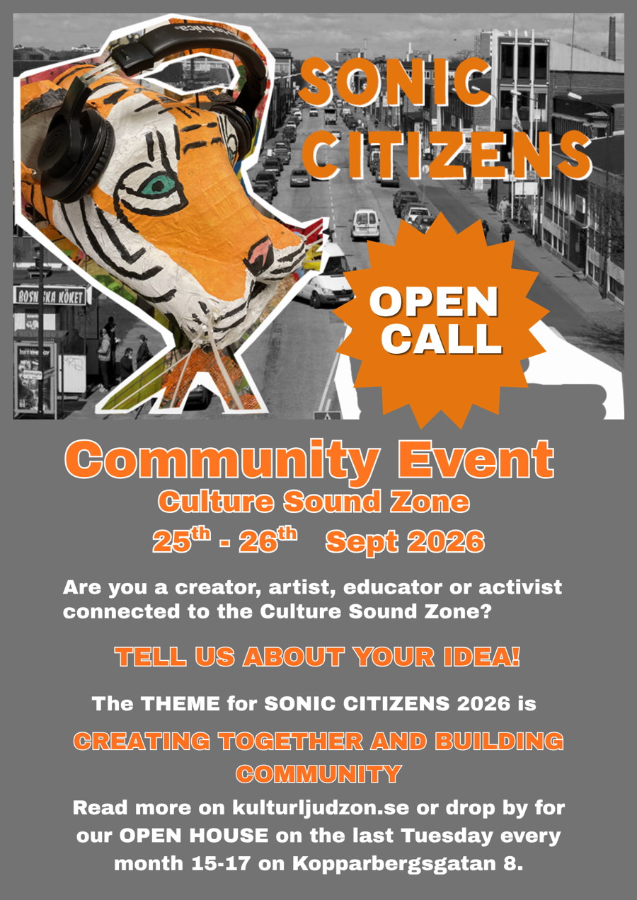 open call Sonic Citizens english