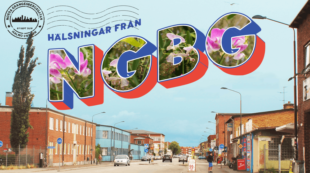 Vi som gillar buller bygga framtidens innerstad på NGBG